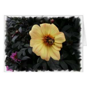 Gänseblümchen-Bienenkarte