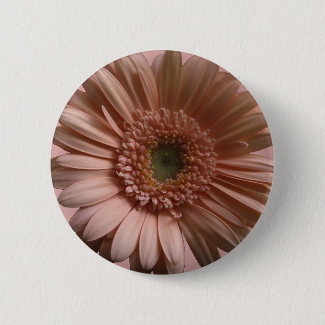 Gänseblümchen-Blume Button (Vorderseite)