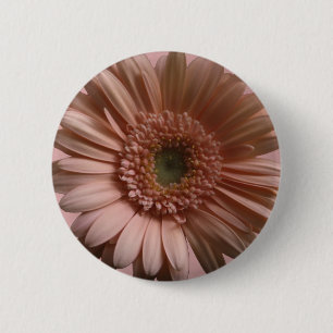 Gänseblümchen-Blume Button