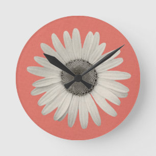 Gänseblümchen-Blumen-Pop des Farbkorallen-Rosas Runde Wanduhr