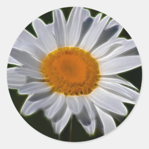 Gänseblümchen-Blumen-Power Runder Aufkleber
