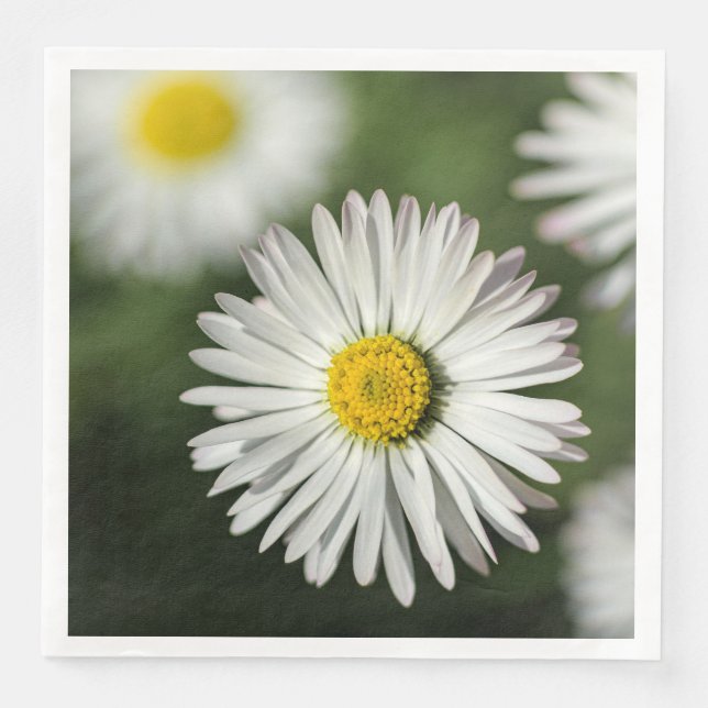 Gänseblümchen Blumenfotografie Serviette (Vorderseite)