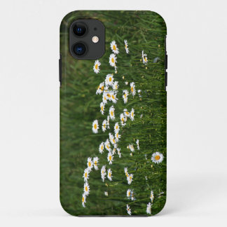 Gänseblümchen title_seo2