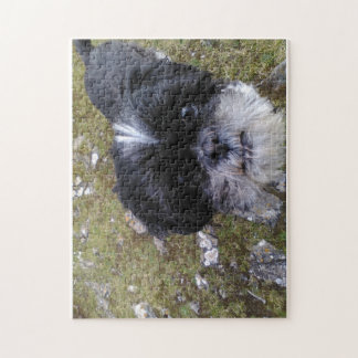 Gänseblümchen das Shih tzu Puzzlespiel für