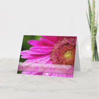 Gänseblümchen erhalten wohle Karte