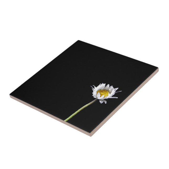 Gänseblümchen Fliese (Seite)