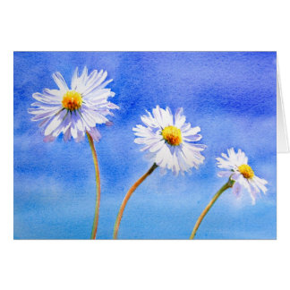 Gänseblümchen-Gänseblümchen