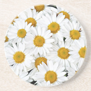 Gänseblümchen Getränkeuntersetzer