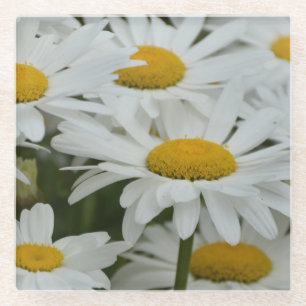 Gänseblümchen Glasuntersetzer