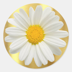 Gänseblümchen Gold Cupcake Toppers Umschlag Gesche Runder Aufkleber