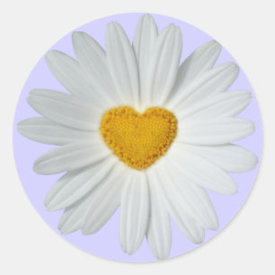 Gänseblümchen-Herz Runder Aufkleber
