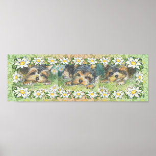 Gänseblümchen-HundYorkie Welpen-Plakat-Druck Poster