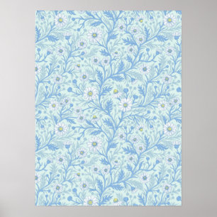 Gänseblümchen in weiß und blau auf Meeresglas Poster