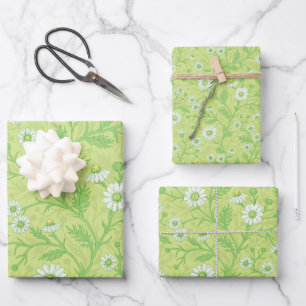 Gänseblümchen in weiß und grün auf honigmelonen-gr geschenkpapier set