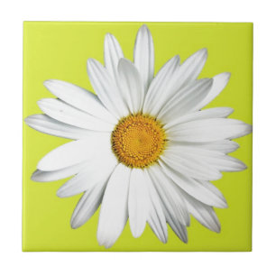 Gänseblümchen mit Limonem grünem Hintergrund Fliese