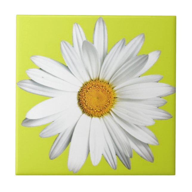 Gänseblümchen mit Limonem grünem Hintergrund Fliese (Vorderseite)