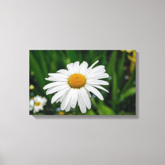 Gänseblümchen mit Wasser eingewickelter Leinwand (Vorderseite)