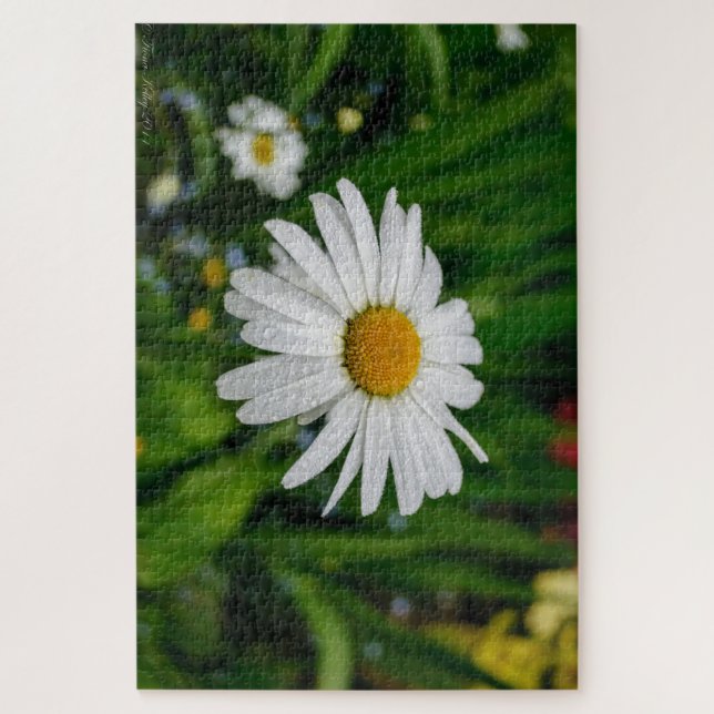 Gänseblümchen mit Wasser-Puzzlespiel (Vertikal)