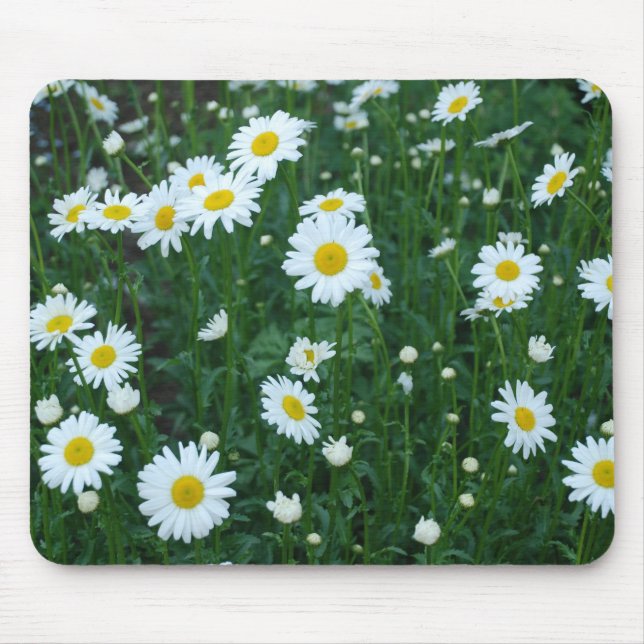 Gänseblümchen - Mousepad (Vorne)