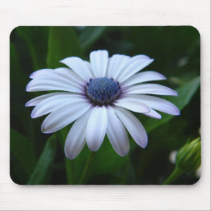 Gänseblümchen Mousepad