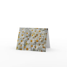Gänseblümchen Notecard