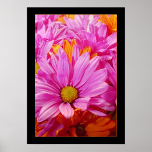 Gänseblümchen Poster