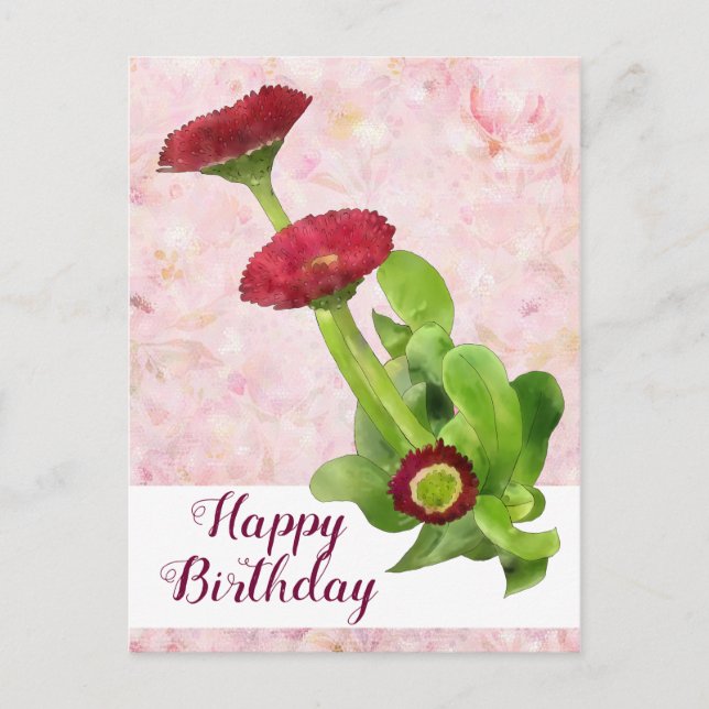 Gänseblümchen Postkarte (Vorderseite)