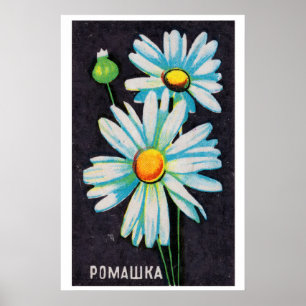 Gänseblümchen - Streichholzschachtel-Druck - Ästhe Poster