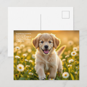 Gänseblümchen Symbolik Postkarte