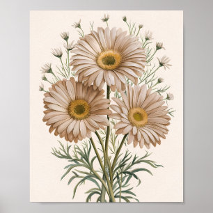 Gänseblümchen Tagtraum Poster
