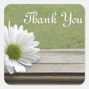 Gänseblümchen-Thema Quadratischer Aufkleber