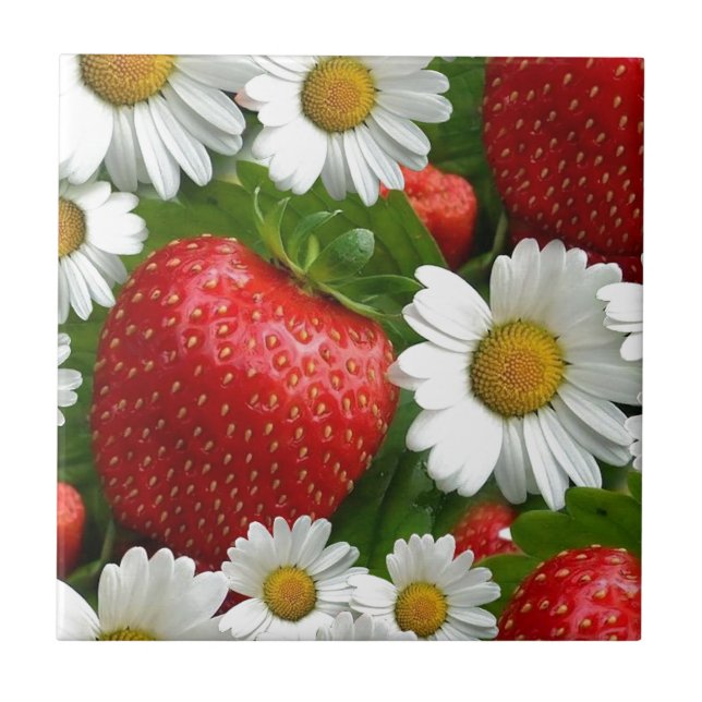 Gänseblümchen und Erdbeeren Fliese (Vorderseite)