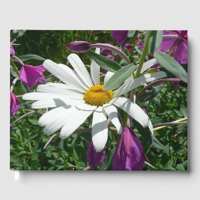 Gänseblümchen und Schmalzweide Wildblume Gästebuch (Vorderseite)