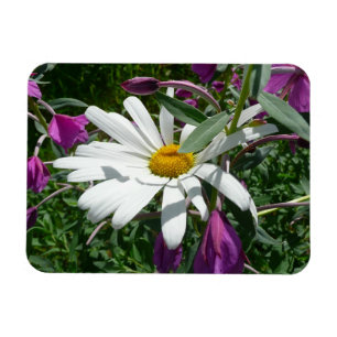 Gänseblümchen und Schmalzweide Wildblume Magnet