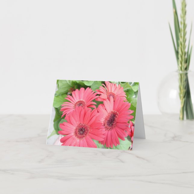 Gänseblümchenkarte Karte (Vorderseite)