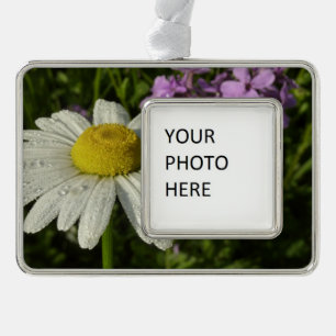 Gänseblume und Hesperis Botanisch Rahmen-Ornament Silber