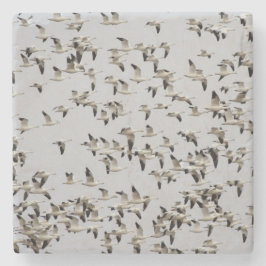 Gänsefliege Steinuntersetzer