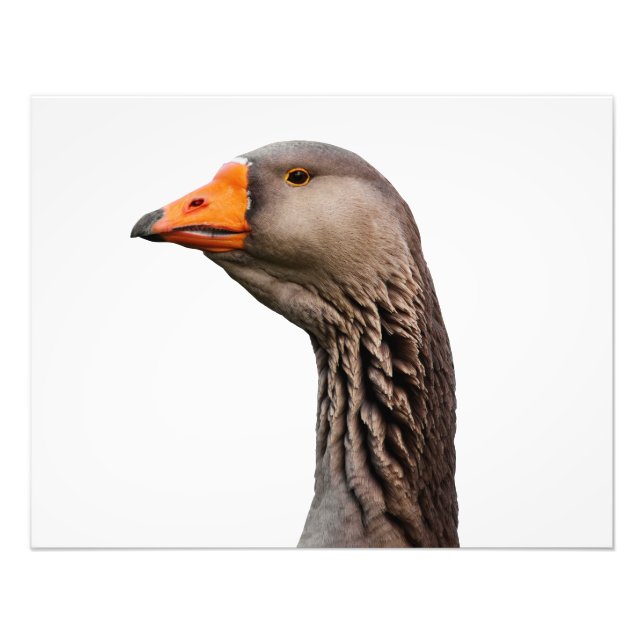 Gänsehaut Fotodruck (Vorne)