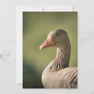 Gänsehaut-Fotokarte Save The Date