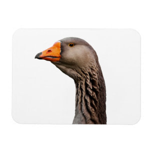 Gänsehaut Magnet