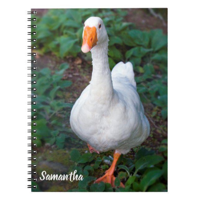 Gänsehaut-Notebook Notizblock (Vorderseite)