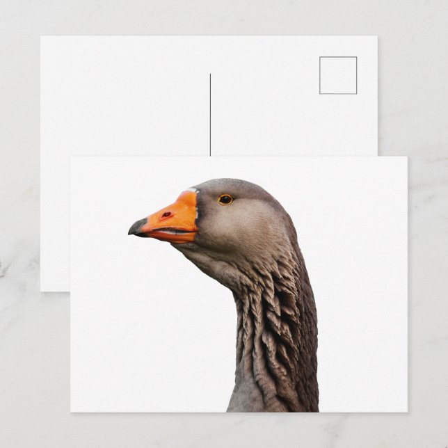 Gänsehaut Postkarte (Vorne/Hinten)