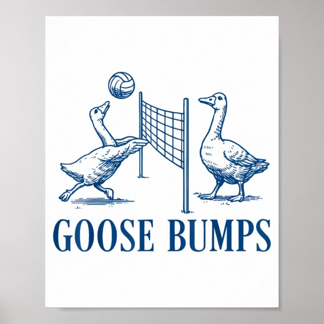 Gänsehaut-Volleyball  Poster (Vorne)