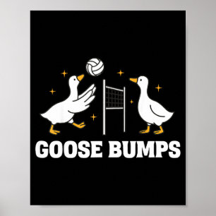 Gänsehaut-Volleyball Poster