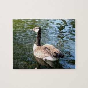 Gänseklemme