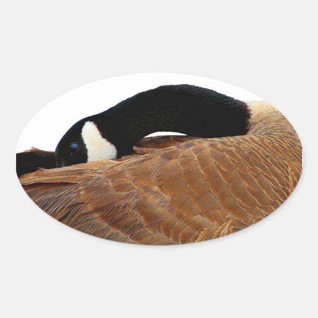 Gänseovalkleber Ovaler Aufkleber (Vorderseite)