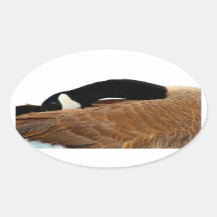 Gänseovalkleber Ovaler Aufkleber