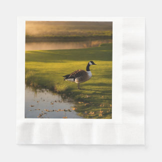 Gänsepapier und Servietten aus Party