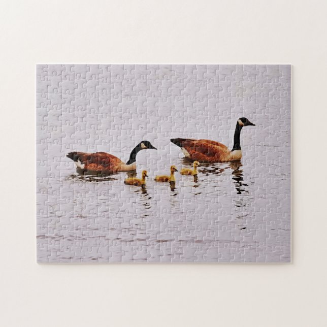 Gänserfamilie des Fünf-Natur-Puzzles (Horizontal)