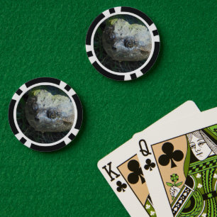 Gänseschildkröte Pokerchips
